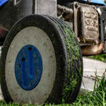 manutenção de jardim